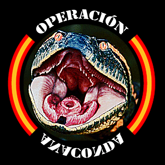 01/04/12 La Granja Partida abierta. Operación Anaconda I : Martillo y Yunque  Anacon11